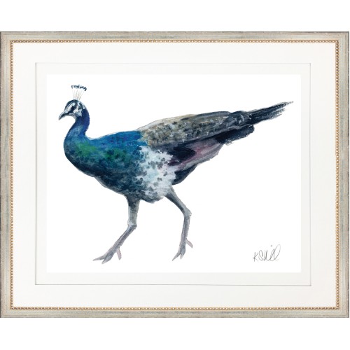 KS- PEACOCK 2